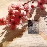 Vintage Letters and Cherry Blossoms by Deborah Schenck