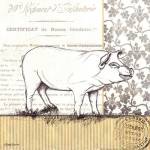 Vintage Pig by Debbie Dewitt