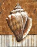 Vintage Shell II - mini by K Bates