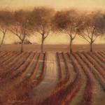 Vintage Sunlit Vineyard by Paul Mathenia