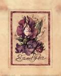 Vintage Sweet Pea by Jerianne Van Dijk