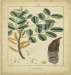 Vintage Turpin Botanical VII by Pierre Jean Francois Turpin