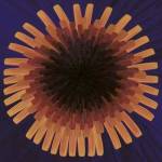 Violet Dandelion II - 2002 by Claire Davies