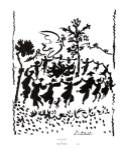 Vive la Paix by Pablo Picasso