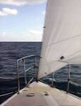 Voyage I by Susan Bryant
