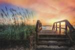 Walk Into Sunrise by Celebrate Life Gallery