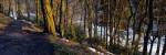 Walkway Passing Through The Forest, Bridgestone Walk, North Yorkshire, England, United Kingdom by Panoramic Images