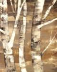 Wandering Through the Birches II by Albena Hristova