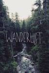 Wanderlust Rainier Creek by Leah Flores