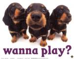 Wanna Play? by Yoneo Morita