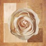 Warm Rose I by Lucy Meadows