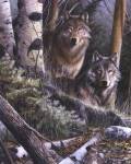 Watchful Eyes by Kevin Daniel