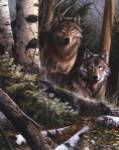 Watchful Eyes by Kevin Daniel