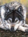 Watchful Waiting by Marilyn Barkhouse