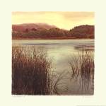 Water Colors II by Amy Melious