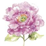 Water Flower I by Wild Apple Portfolio