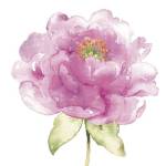 Water Flower II by Wild Apple Portfolio
