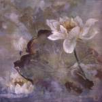 Water Lily II by Mei