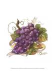 Watercolor Grapes I by Jerianne Van Dijk