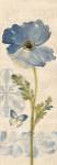 Watercolor Poppies Blue Panel II by Pamela Gladding