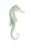 Watercolor Seahorse I by Megan Meagher