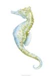 Watercolor Seahorse II by Megan Meagher