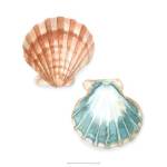 Watercolor Shells I by Megan Meagher