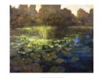 Waterlilies by Philip Craig