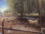 Weeping Willows by Don Vack
