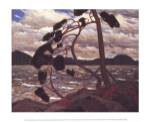 West Wind by Tom Thomson