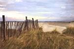 West Wittering Beach by Assaf Frank