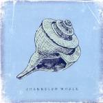 Whelk by Stephanie Marrott