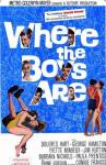 Where the Boys Are