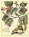 Whimsical Butterflies I by Vision Studios