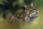 Whiskers and Wings by Gene Dieckhoner
