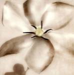 Whisper of Gardenia by Donna Geissler