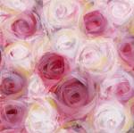 White and Pink Roses by Li Bo