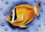 White Banded Island Fish by Dona Turner