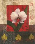 White Chinese Orchid by Tan Chun