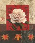 White Chinese Rose by Tan Chun