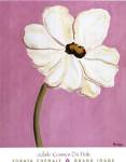 White Cosmos On Pink by Soraya Chemaly