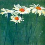 White Daisies by Teo Malinverni