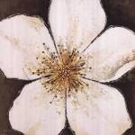 White Delight by Joyce McAndrews