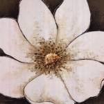 White Enchantment by Joyce McAndrews