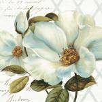 White Floral Bliss II by Lisa Audit