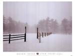 White Fog #2 by Stan Shire