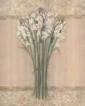 White Mirage I by Elizabeth Brownd