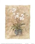 White Orchids I by Elizabeth Brownd