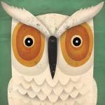 White Owl by Ryan Fowler