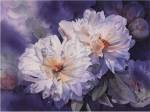 White Peonies by Janet Whittle